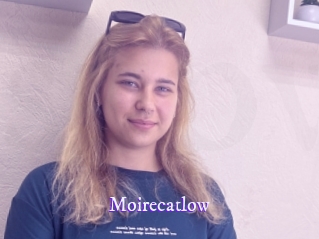 Moirecatlow