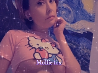 Mollie_fox