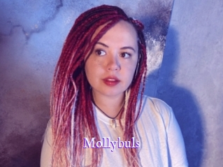 Mollybuls