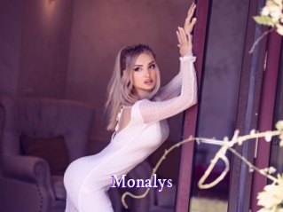 monalys Super Webcam
