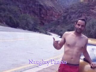 NaughtyTaurus Super Webcam