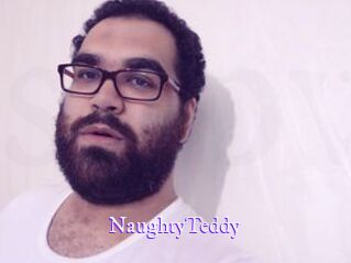 NaughtyTeddy Super Webcam
