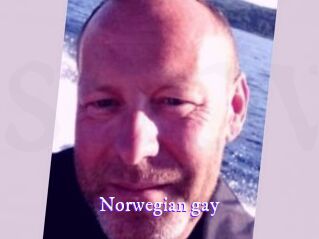 Norwegian_gay