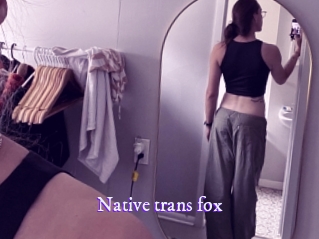 Native_trans_fox