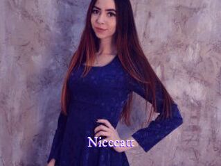 nicecatt Super Webcam