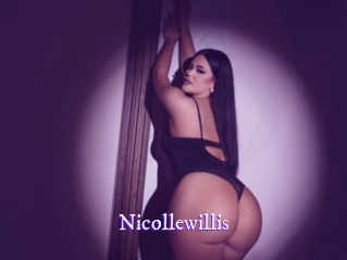 nicollewillis Super Webcam