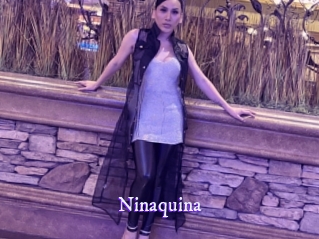 ninaquina Super Webcam