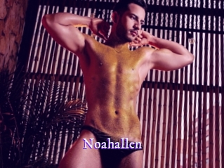 Noahallen