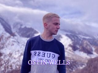 OSTIN_WELLS