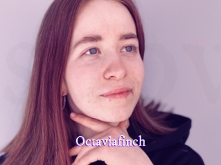 Octaviafinch