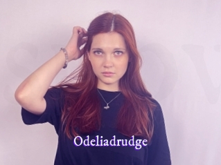 Odeliadrudge