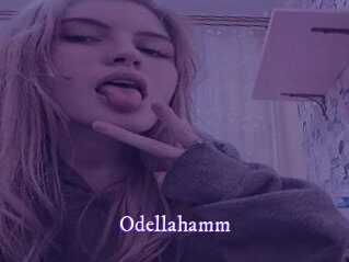 Odellahamm