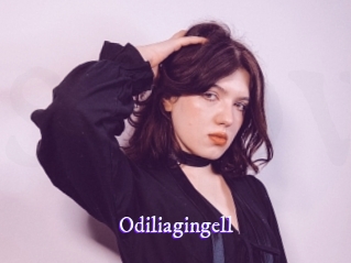 Odiliagingell