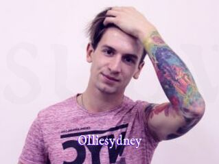 olliesydney Super Webcam