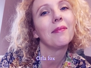 Orla_fox