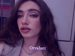 Orvahatt