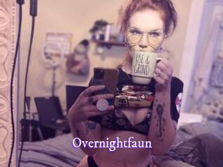 Overnightfaun