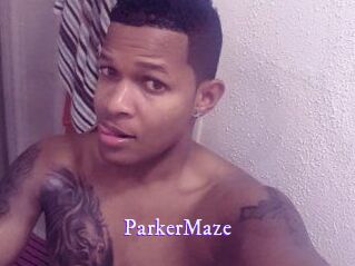 Parker_Maze Super Webcam