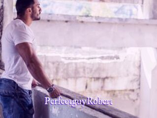 PerfectguyRobert