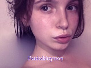 Pettitekitty1107