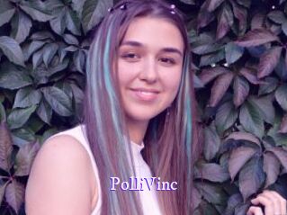 PolliVinc Super Webcam