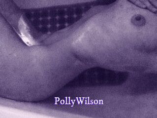 PollyWilson Super Webcam