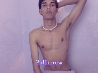 Pollitorosa