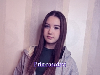 Primrosedavi