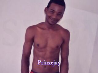 prinxejay Super Webcam