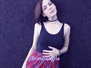 RemiSangria Super Webcam