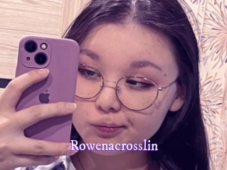 rowenacrosslin Super Webcam