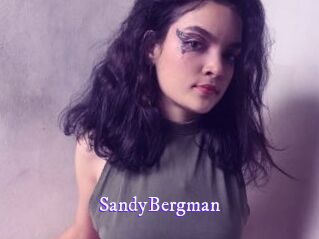 SandyBergman