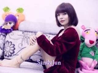 SandyJun