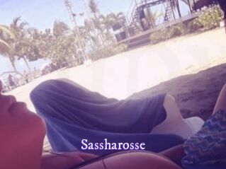 Sassharosse