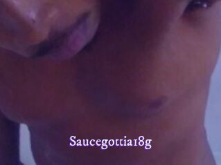 Saucegottia18g