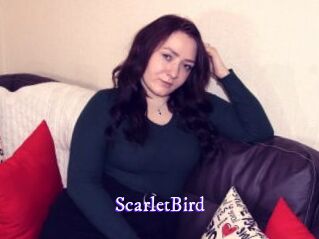 ScarletBird