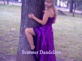 Summer_Dandelion