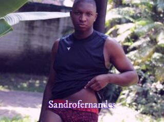 Sandrofernandes