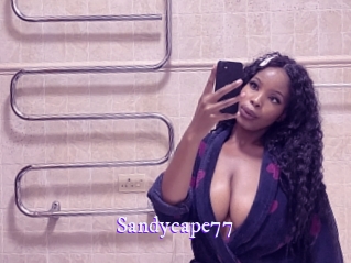sandycape77 Super Webcam
