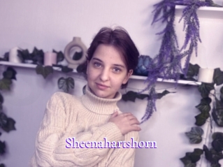 sheenahartshorn Super Webcam