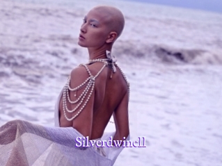 silverdwinell Super Webcam