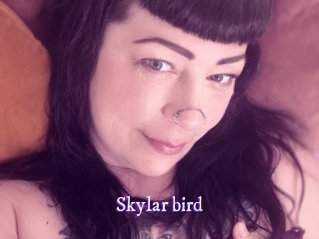 Skylar_bird