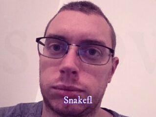 Snakefl