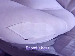 Snowflake21