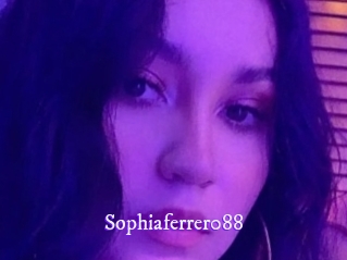 Sophiaferrer088