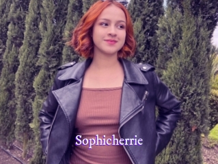 Sophicherrie