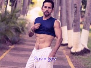 Stromguy