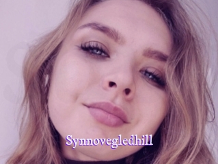 Synnovegledhill