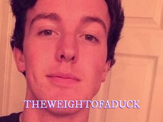 THEWEIGHTOFADUCK