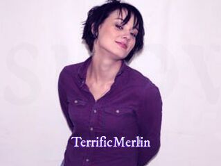 TerrificMerlin
